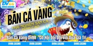 Bắn Cá Vàng Dv88 - Cơ Hội Đổi Đời Với Những Phần Quà Giá Trị