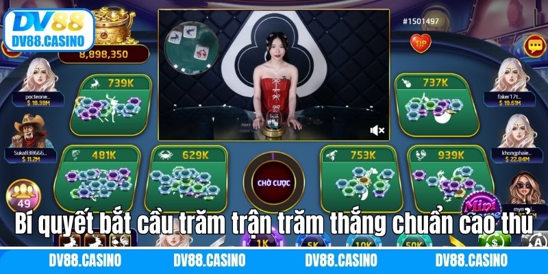 Bí quyết bắt cầu trăm trận trăm thắng chuẩn cao thủ