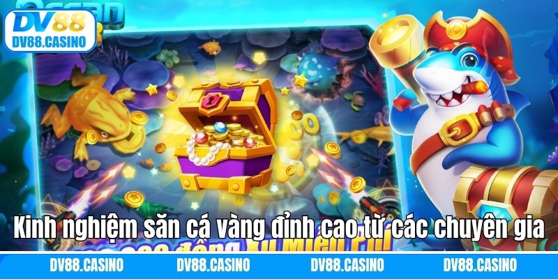 Kinh nghiệm săn cá vàng đỉnh cao từ các chuyên gia