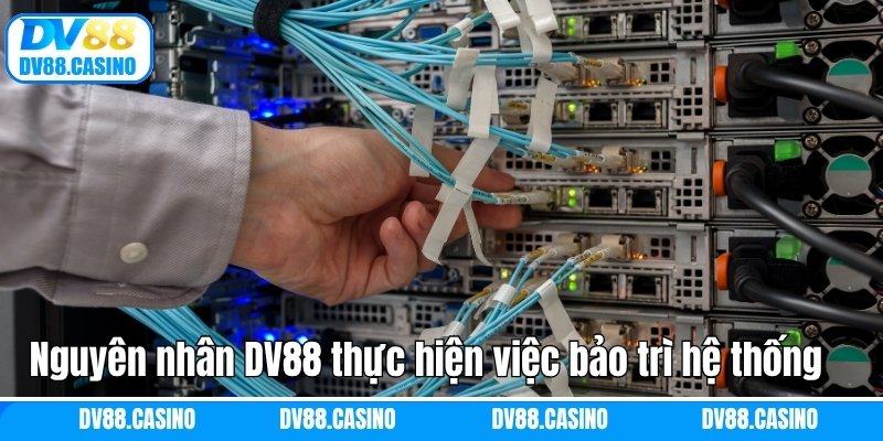 Nguyên nhân DV88 thực hiện việc bảo trì hệ thống