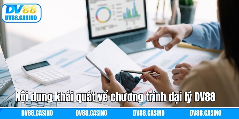 Nội dung khái quát về chương trình đại lý DV88